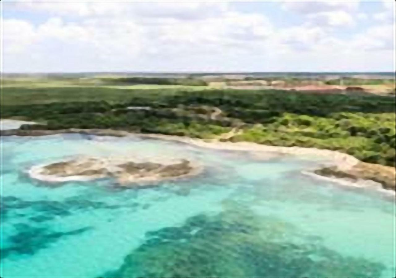 Casa Magnolia Villa Montalbano  Eksteriør bilde
