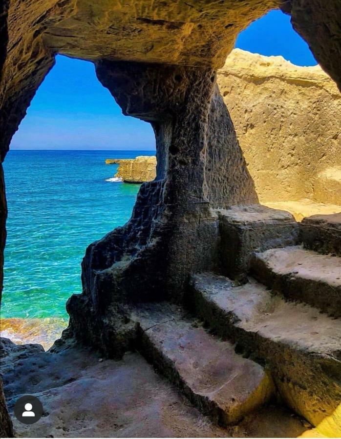 Casa Magnolia Villa Montalbano  Eksteriør bilde